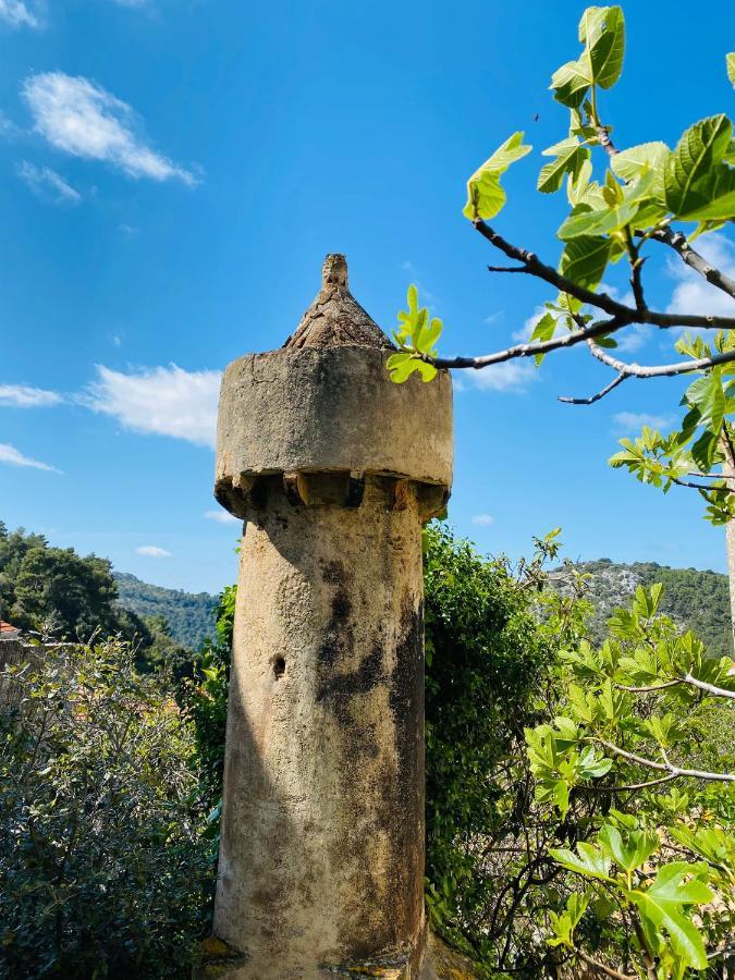 Villa Iva Lastovo Uble Exteriör bild